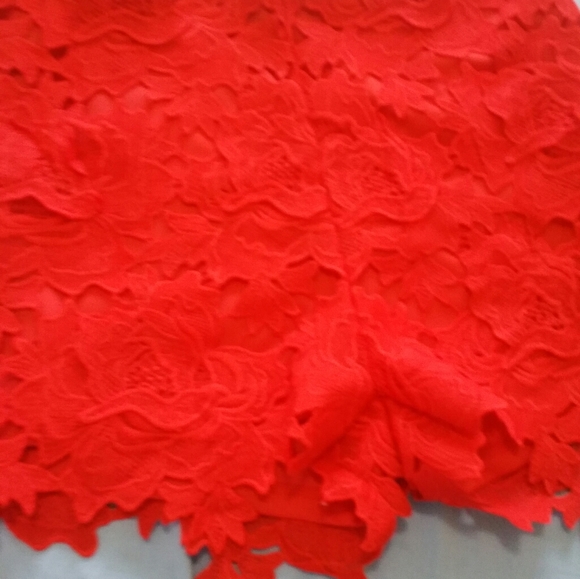 Lace suit short - Picture 1 of 2
